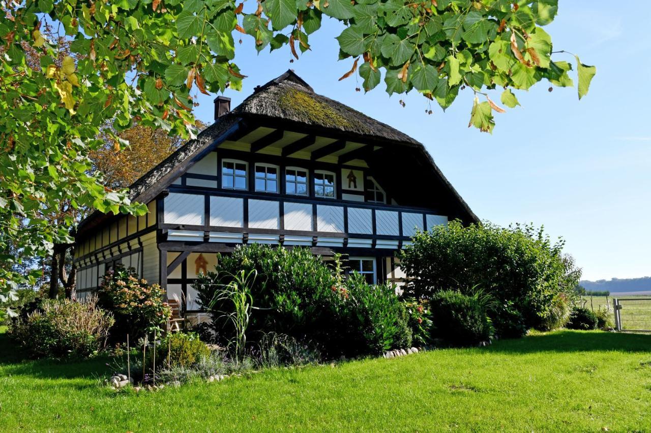 Reetdachfachwerkvilla Am Wiesengrund Берген-ауф-Рюген Экстерьер фото